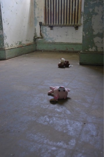 Pennhurst Visit 2014
