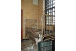 Cage Bed