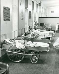 Row of wheel beds