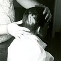 Injured child